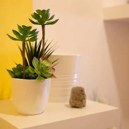 Daire Ocean View Or426