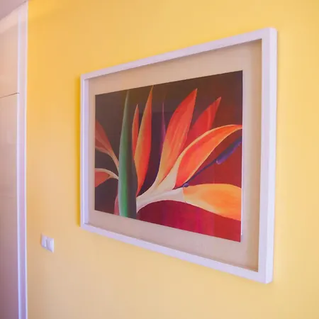 Daire Ocean View Or426 *